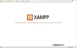 XAMPP 導入手順(11)